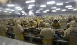 剥虾工人爆料视频大全最新,揭秘剥虾工人的辛酸与困境