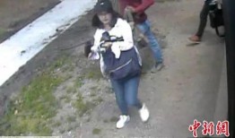 台湾媒体爆料章莹颖视频,台湾媒体曝光章莹颖案惊人视频片段