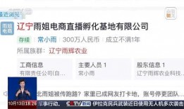 新闻姐爆料数据案底,数据案底背后的惊人真相