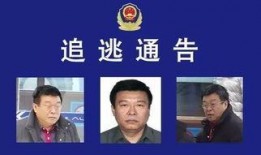 政事儿新闻爆料热线,揭秘幕后真相，助力舆论监督