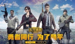 和平精英爆料后续视频在哪看,后续视频观看指南揭秘