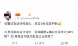 陈飞宇粉丝爆料事件视频,揭秘幕后真相与争议焦点