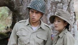 电视剧女人的抗战在线观看,烽火岁月中的坚韧与抗争