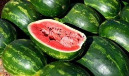 吃瓜网红 图片大全大图,趣味横生的视觉盛宴