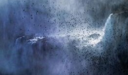 旅行者长大爆料视频,一场说走就走的旅行者成长之旅