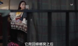 李文姐姐爆料视频在线观看,揭秘幕后真相，带你走进事件核心