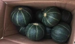 吃瓜给五块钱的网红,五块钱助力网红崛起，揭秘吃瓜经济背后的秘密！”