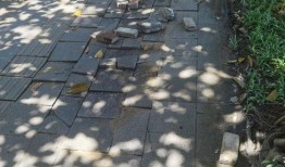 人行道地砖爆料视频教程,揭秘专业施工步骤与技巧