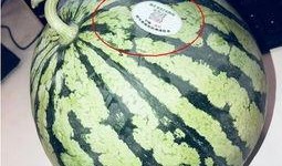 盐城网红吃瓜,揭秘幕后故事与热门话题