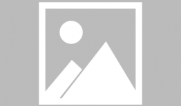 傻儿司令八哥爆料视频大全,揭秘幕后真相与趣味瞬间