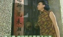 网红王琳助理爆料视频,揭秘幕后真相