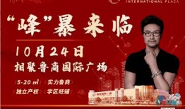 今日临沂爆料,揭秘城市热点事件背后的真相