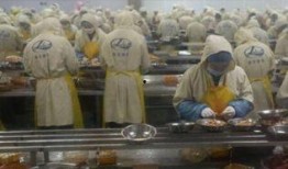 剥虾工人爆料视频,揭秘海鲜加工行业背后的辛酸与真相