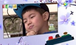 娱乐新闻视频大爆料,独家视频爆料幕后真相