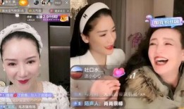 张兰前员工小安爆料视频,揭秘张兰企业内部惊人内幕