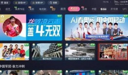 潍坊恒大爆料事件视频播放,真相与争议交织