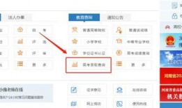 河南高招最新爆料消息查询,揭秘录取内幕与政策调整