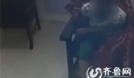 强奸被视频在线观看