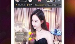 成都名媛爆料视频播放下载,独家播放与下载全解析