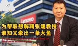 张婕爆料柳传志视频大全,张婕独家爆料，揭秘企业家传奇人生