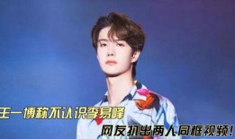 爆料娱乐王一博视频大全,精彩瞬间尽收眼底