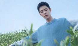 娱乐大爆料张若昀王凯,揭秘幕后精彩瞬间