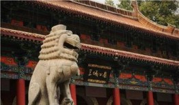 洛阳王城公园爆料视频,探寻千年古都的绿色秘境