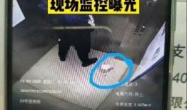 青岛外卖爆料视频最新,揭秘外卖行业背后真相