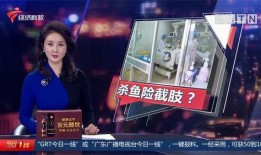 枫丹爆料视频最新消息新闻,最新视频揭露游戏内重大更新与秘密