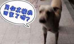 每天看娱乐吃瓜的说说,跟随热点，畅享娱乐圈风云变幻