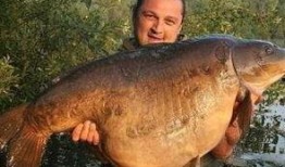 重庆爆料大鲤鱼视频播放,揭秘神秘鱼种背后的故事