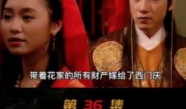 西门庆李瓶儿在线观看,一段风月传奇的在线重现