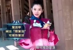 王雁林爆料八卦视频