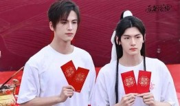 张凌赫被爆料出轨视频,真相与争议