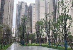 清徐龙悦华府最新爆料,揭秘高端住宅区的神秘面纱