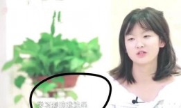 有哪些靠谱的娱乐圈爆料,揭秘那些靠谱的幕后真相