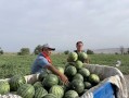 吃瓜娱乐园,娱乐圈幕后故事大公开