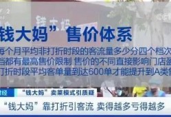 央视爆料偷钱案件最新进展,嫌疑人落网，案情细节披露