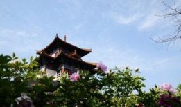 洛阳王城公园爆料视频,探寻千年古都的绿色秘境