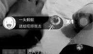 造人直播在线观看,科技与伦理的碰撞现场