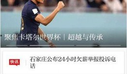 清新新闻爆料,揭秘事件背后真相