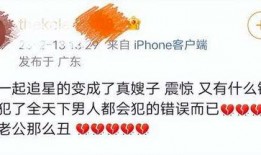 陈飞宇粉丝爆料事件视频,揭秘幕后真相与争议焦点