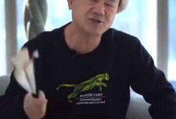 娱乐大佬爆料黄晓明视频,娱乐大佬揭秘娱乐圈内幕