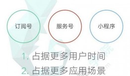 独家最新爆料小程序,揭秘小程序背后的秘密与商机