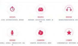 新闻音频爆料怎么做,深度解析事件背后真相