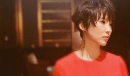 京城宝哥爆料视频大全,视频大全精彩内容抢先看