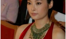 袁立泰国爆料视频合集,揭秘真实幕后故事