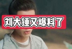 刘大锤最新爆料视频在线,幕后真相大曝光！