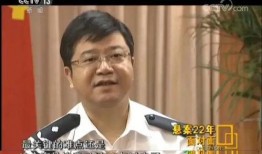 深圳刘老板爆料事件视频,揭秘背后惊人真相
