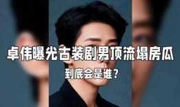 大瓜娱乐圈爆料是谁的,揭秘神秘明星的真实身份